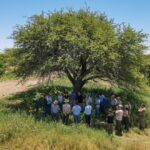 Córdoba, La Pampa y San Luis firmaron un convenio para proteger el Caldén, especie única en el mundo