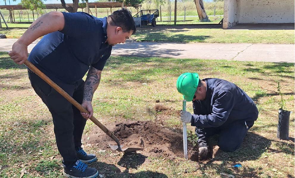 EPEC realizó una nueva jornada de reforestación
