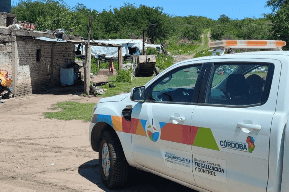 Salsipuedes: Controles por casos de triquinosis