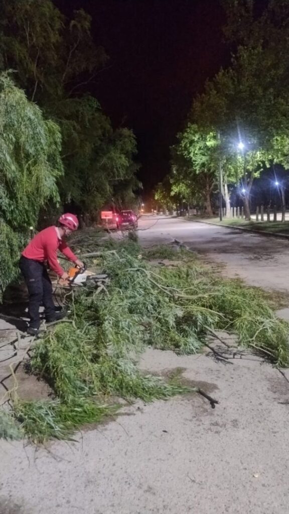 Intenso operativo para normalizar la situación luego de la tormenta