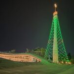 Sin el acto tradicional, se encendió el Árbol de Navidad