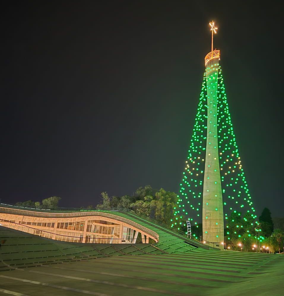 Sin el acto tradicional, se encendió el Árbol de Navidad