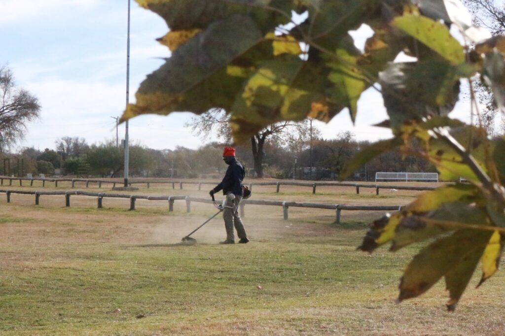 Con un plan de intervención en toda la ciudad, intensifican las tareas de desmalezado