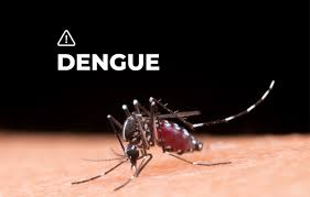 Dengue: Salud amplía la vacunación a personas hasta los 59 años de edad