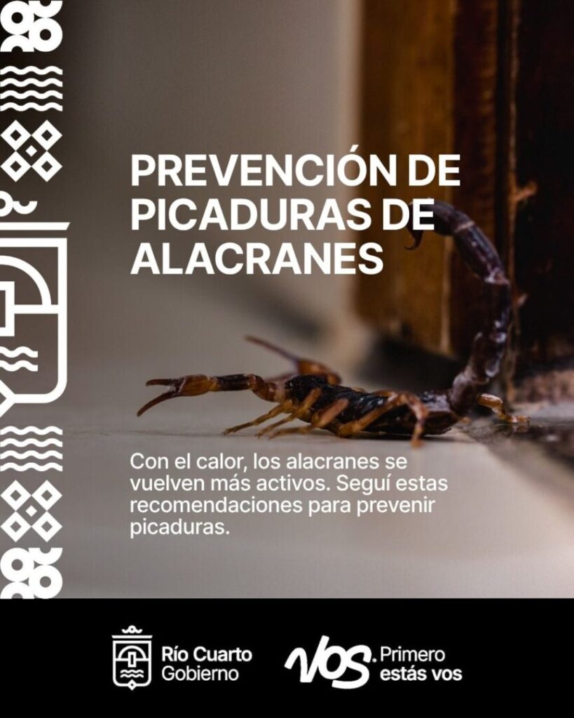 Altas temperaturas: recomendaciones para prevenir picaduras de alacranes