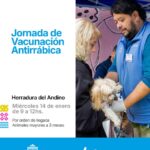 Llega otra gran campaña de vacunación antirrábica en el Andino