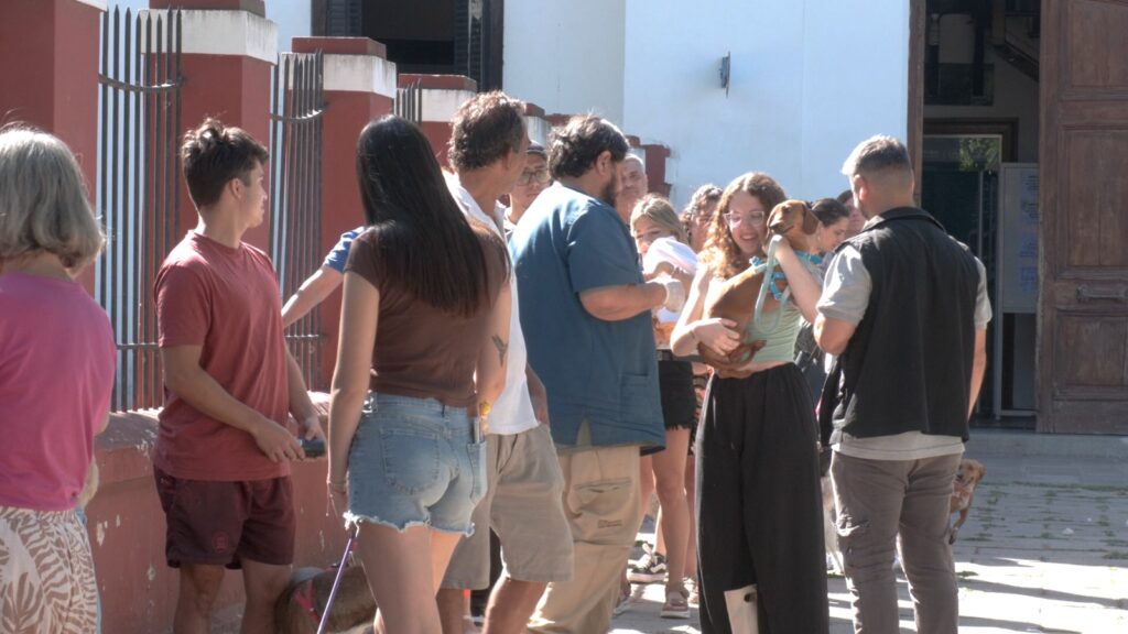 Gran convocatoria en la campaña de vacunación antirrábica en el Andino