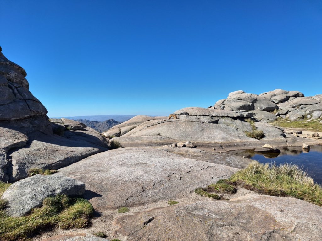 La Provincia avanza en la elaboración del Diagnóstico Ambiental Provincial 2025