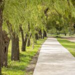 Avanza la ejecución de un nuevo parque lineal y bicisenda en Banda Norte