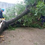 La Provincia asiste a localidades del sudeste afectadas por el temporal