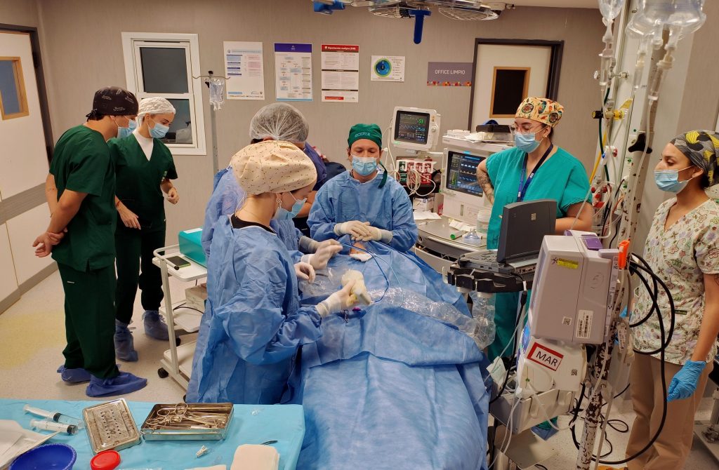 Primera ablación por microondas de tiroides en un hospital público de Córdoba