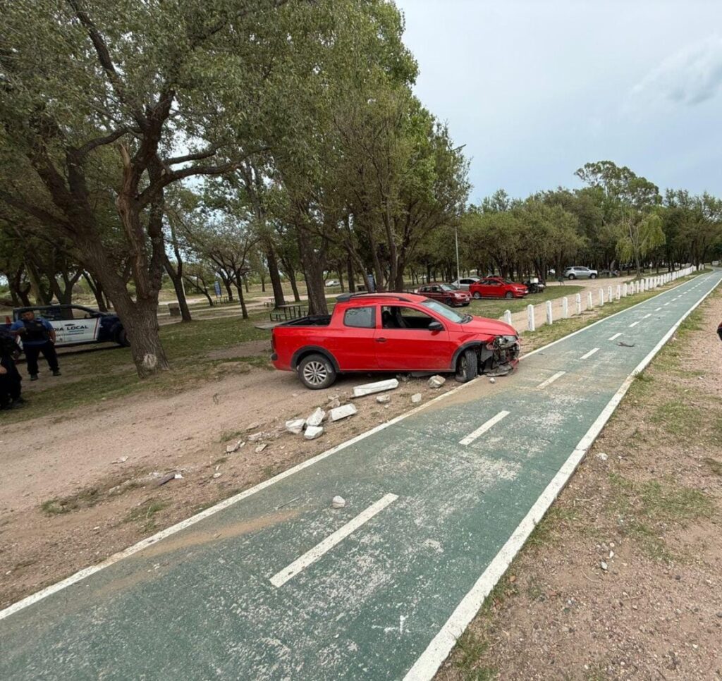 Detenido por sustracción de vehículo y daño.