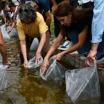 Siembran pejerreyes para fortalecer la biodiversidad del embalse de Cruz del Eje