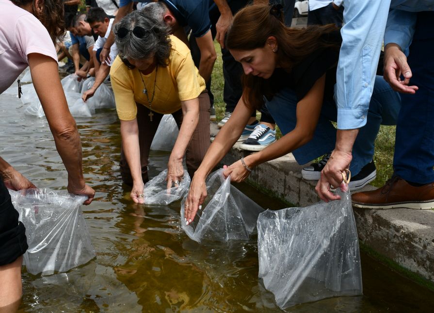 Siembran pejerreyes para fortalecer la biodiversidad del embalse de Cruz del Eje
