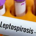 Bell Ville: Se confirmó un fallecido por leptospirosis y se refuerzan las medidas sanitarias