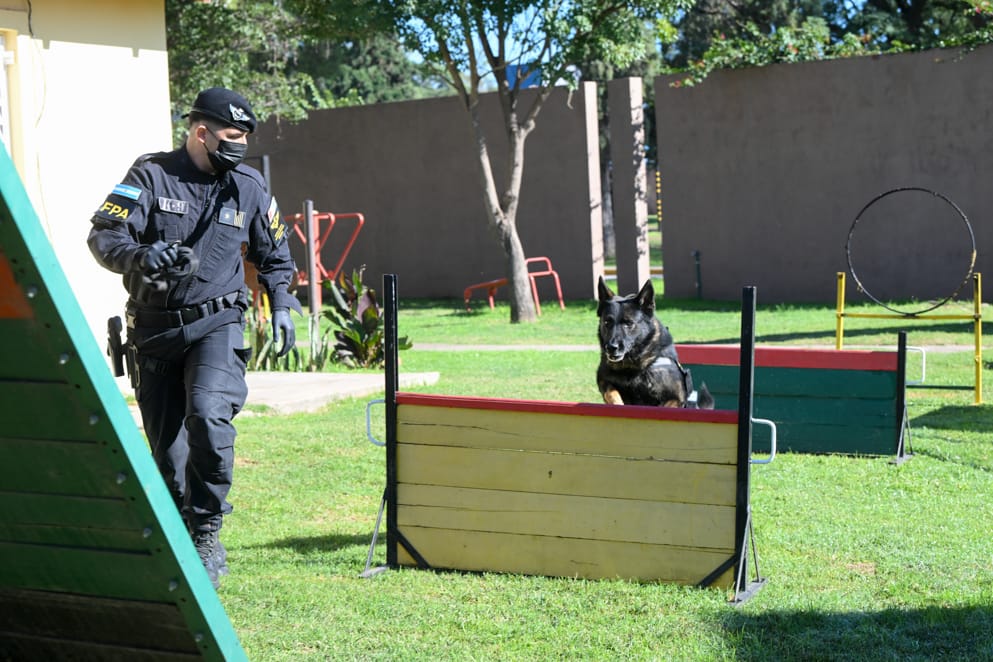 Buster, el agente canino de la FPA que se retiró con más de 300 procedimientos efectivos