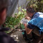 El Ministerio de Salud notificó otros tres casos de chikungunya en el interior provincial