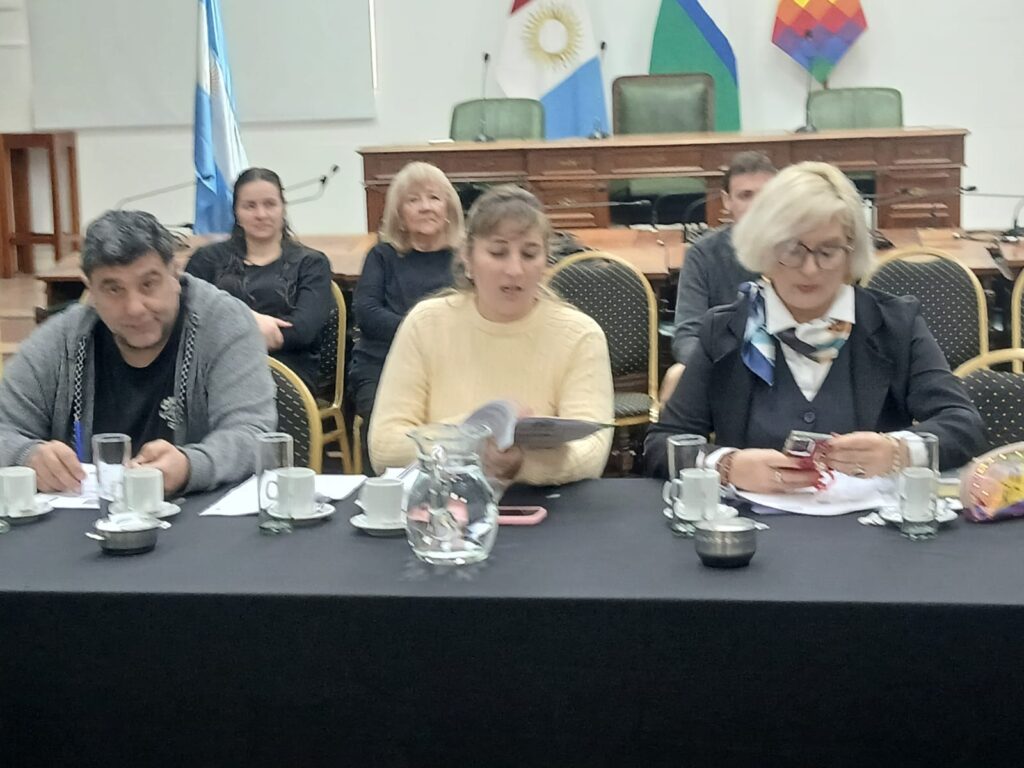 El Concejo Deliberante avanza en un programa municipal para la prevención del suicidio