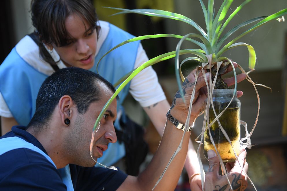 Continúa el primer monitoreo aédico de la temporada para la prevención del dengue